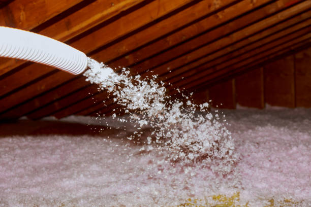 Best Blown-in Insulation in Cleveland, TN