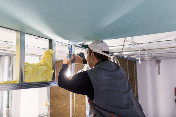 Best Geographic-Specific Insulation Services in Cleveland, TN