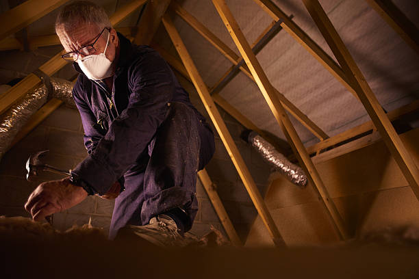 Best Eco-Friendly Insulation in Cleveland, TN